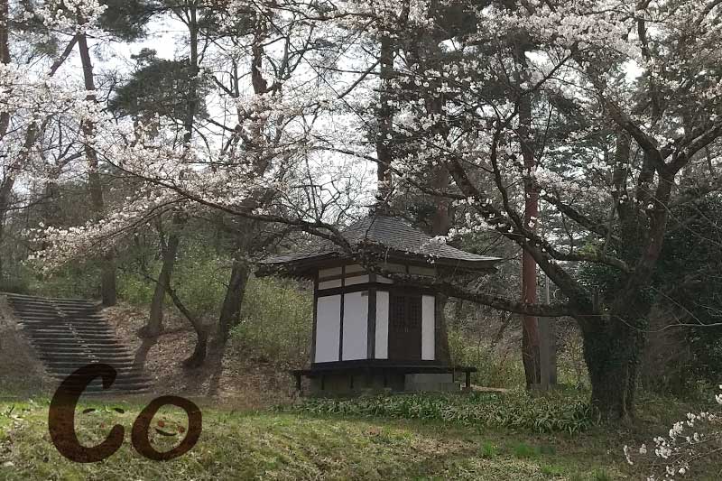 翠ヶ丘公園内の三千代姫堂と桜