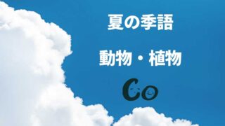 きほんの季語 夏編その３動物 植物 Co Sodate 子育て俳句でco育て